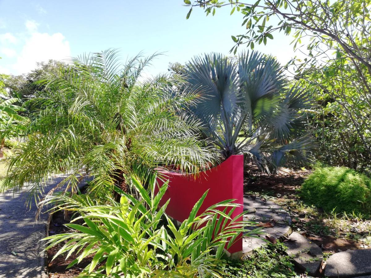 Punta Duarte Garden Inn Los Duarte Εξωτερικό φωτογραφία